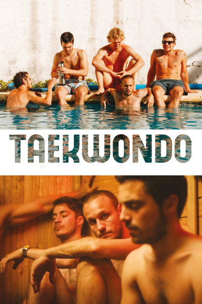 Póster de Taekwondo