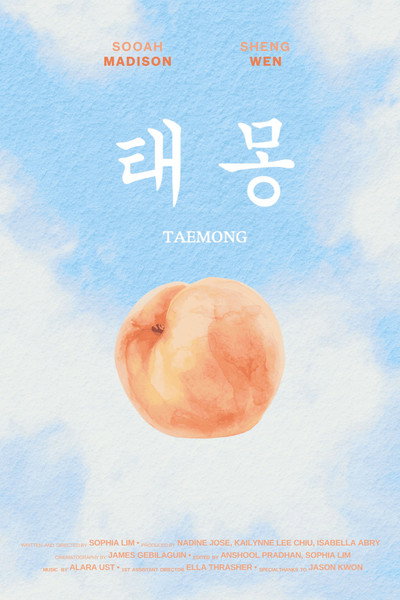 Póster de Taemong