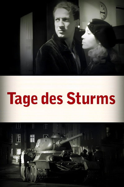 Póster de Tage des Sturms