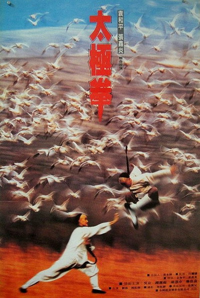 Póster de Tai Chi II