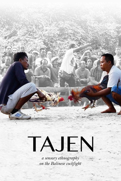 Póster de Tajen