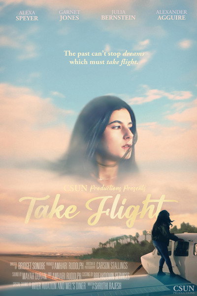 Póster de Take Flight