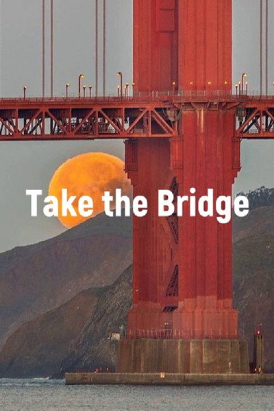 Póster de Take the Bridge