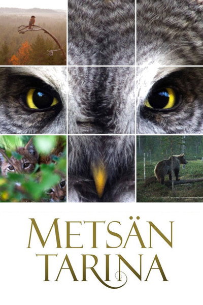 Póster de Tale of a Forest