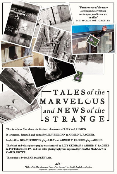 Póster de Tales of the Marvelous and News of the Strange