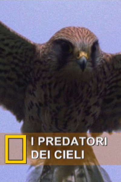 Póster de Talons of Terror