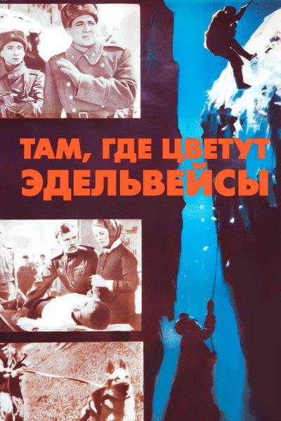 Póster de Tam, gde tsvetut edelveysy