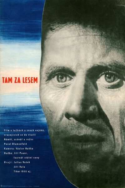 Póster de Tam za lesem