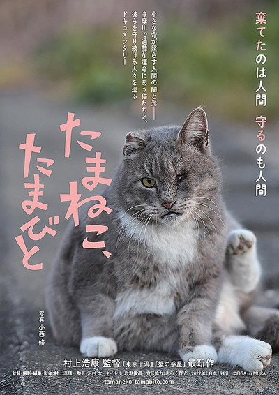 Póster de Tamaneko, Tamabito