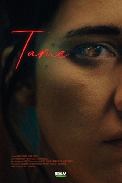 Póster de Tame
