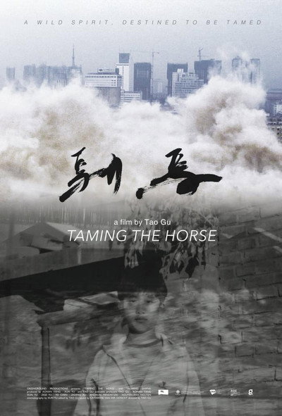 Póster de Taming the Horse