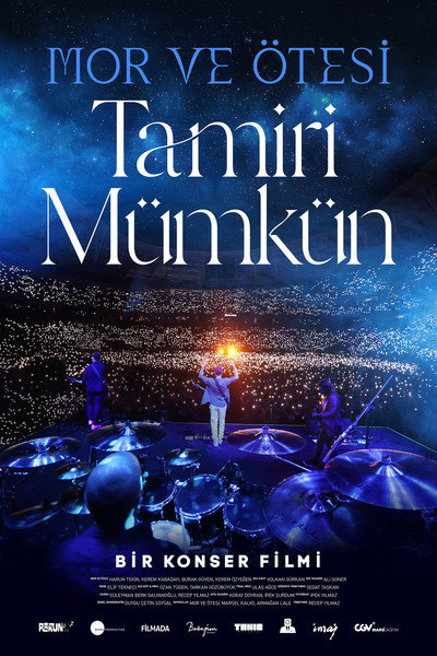 Póster de Tamiri Mümkün