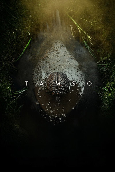 Póster de Tamso