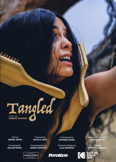 Póster de Tangled