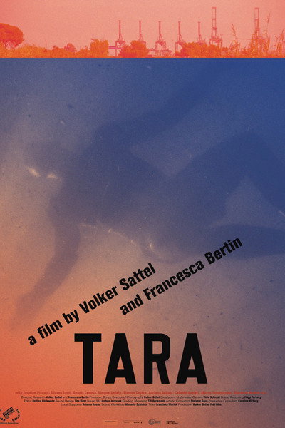 Póster de Tara
