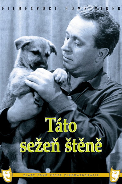 Póster de Táto, sezen stene