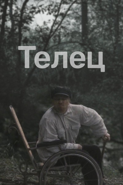 Póster de Tauro