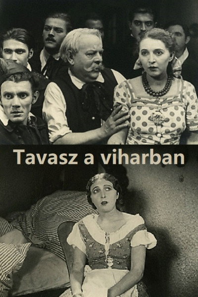 Póster de Tavasz a viharban