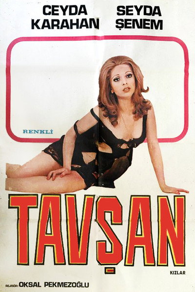 Póster de Tavsan Kizlar