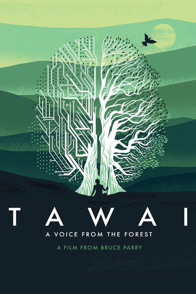 Póster de Tawai: A Voice from the Forest