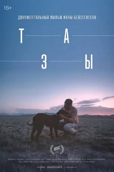 Póster de Tazy