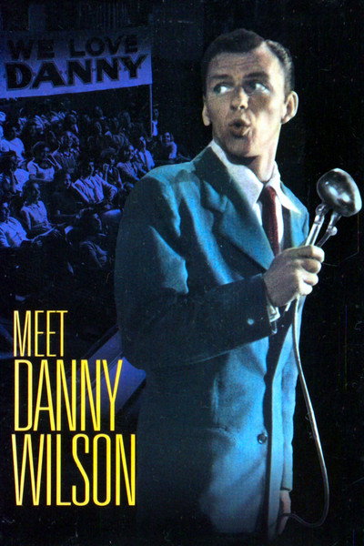 Póster de Te presento a Danny