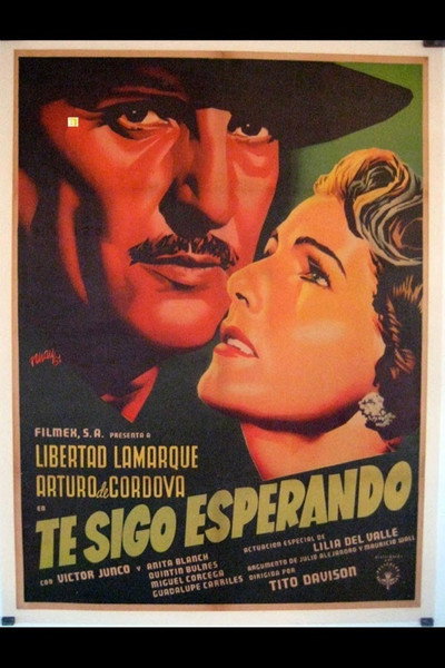 Póster de Te sigo esperando