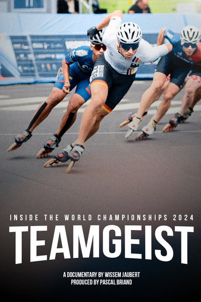 Póster de Teamgeist