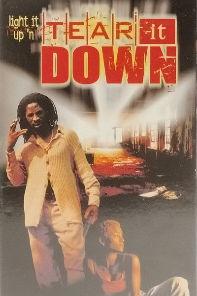 Póster de Tear It Down