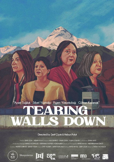 Póster de Tearing Walls Down