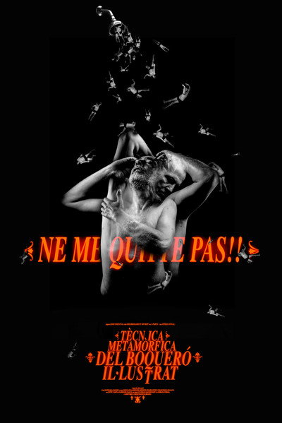 Póster de Tècnica metamòrfica del boqueró il·lustrat