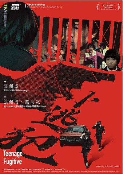 Póster de Teenage Fugitive