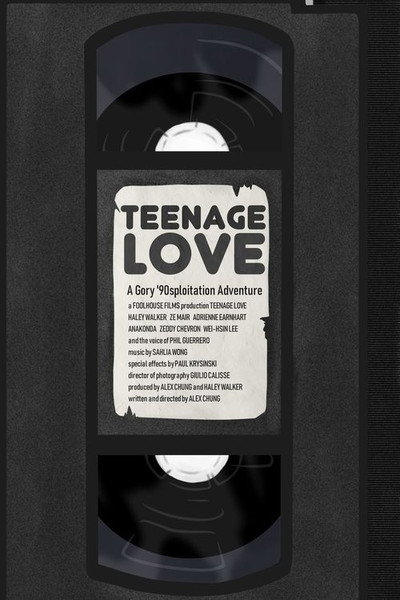 Póster de Teenage Love