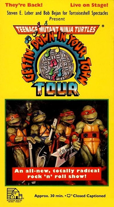 Póster de Teenage Mutant Ninja Turtles: Gettin' Down in Your Town