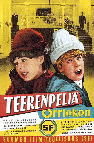 Póster de Teerenpeliä