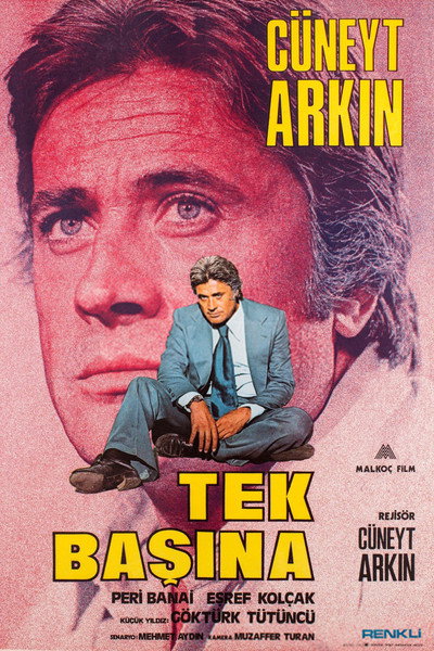 Póster de Tek Basina