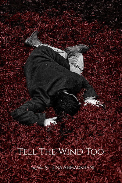 Póster de Tell the Wind Too