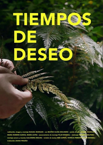 Póster de Tempos de Desejo