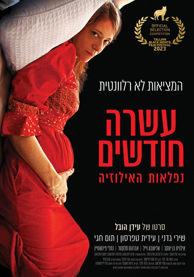Póster de Ten Months