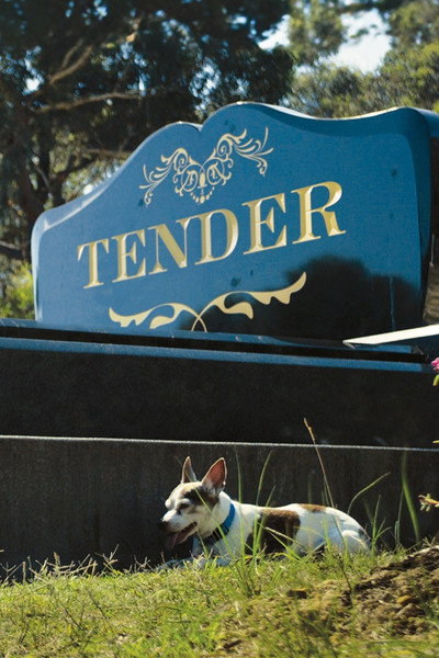 Póster de Tender
