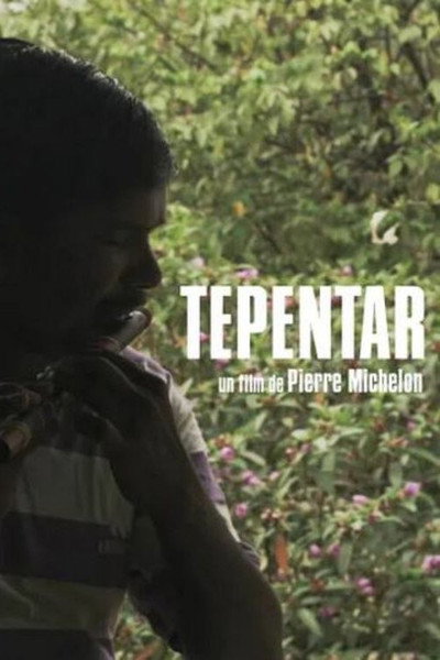 Póster de Tepantar