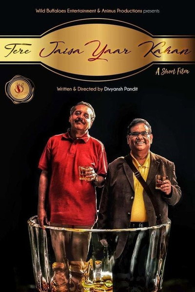 Póster de Tere Jaisa Yaar Kahan