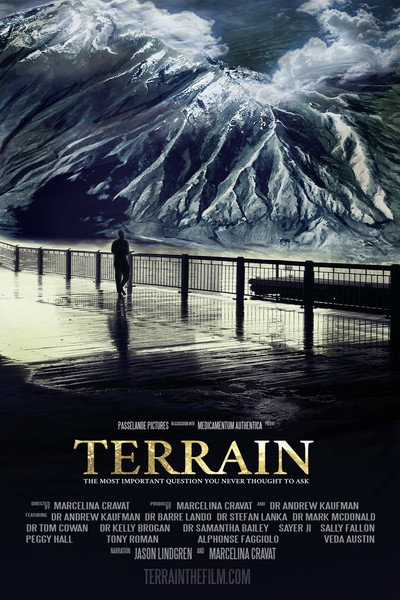 Póster de Terrain