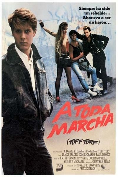 Póster de Territorio rebelde