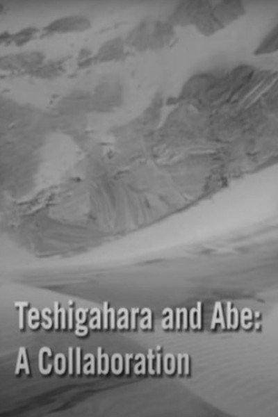 Póster de Teshigahara and Abe: A Collaboration