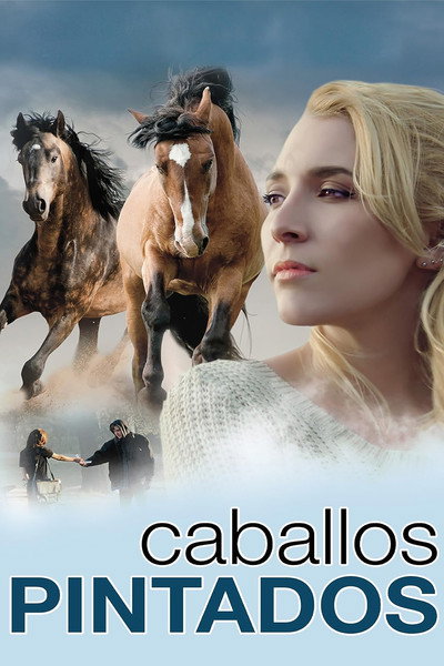 Póster de Tesoros Escondidos