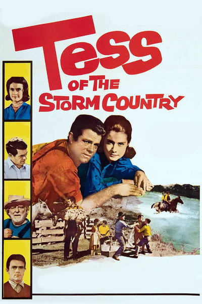 Póster de Tess of the Storm Country