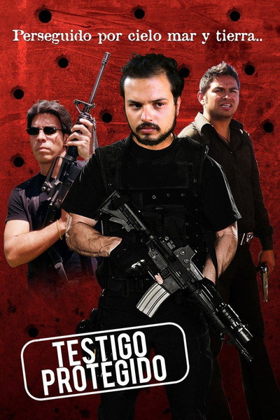 Póster de Testigo protegido