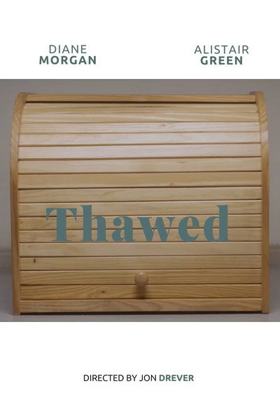 Póster de Thawed