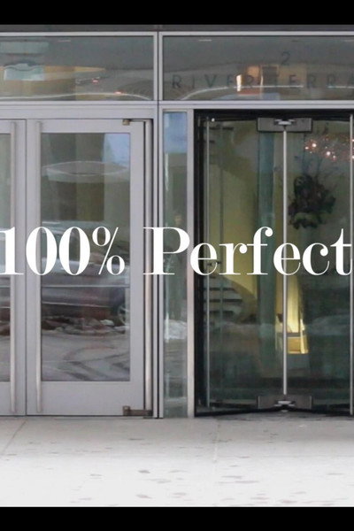 Póster de The 100% Perfect Girl